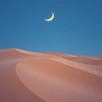 Cover art for Sands of the Forgotten by Unknown Artist