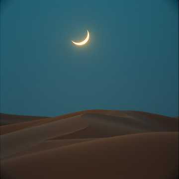 Cover art for Sands of the Forgotten by Unknown Artist