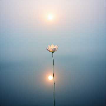 Cover art for Slow Blooming Sky by Saskia W.