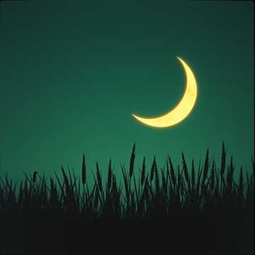 AI Music Generator - ت - AI-generated song