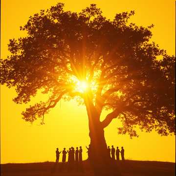 Cover art for Ngiyabonga by BoitumeloDavid Mayili