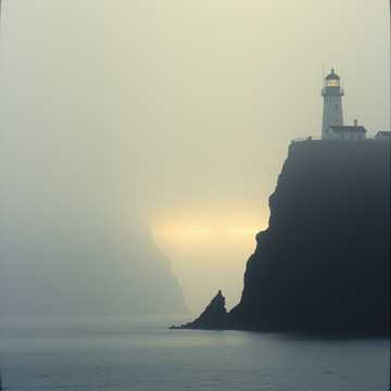 Cover-Art für Shadows in the Static von MD Fazley Rabby