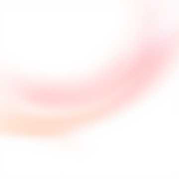 Mirsada HusejnovicのBudi INのカバーアート