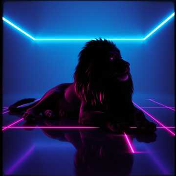 Cover art for Black Lion Groove by Dario Mamani