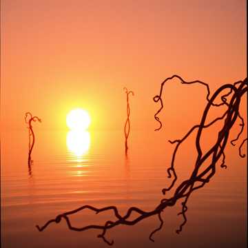 Cover art for Denganmu by Ben Teng