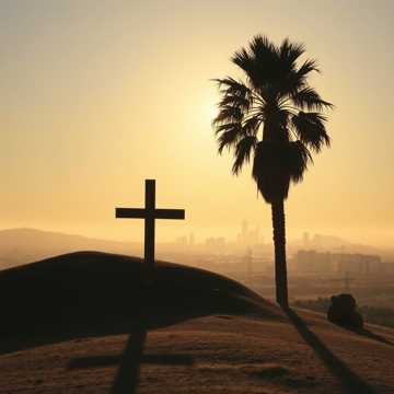 Обложка Wizlink от Costly Edim