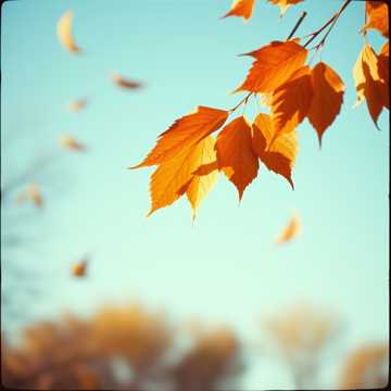 Cover art for Timeless Whispers by Unknown Artist