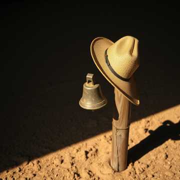 Capa de O Dia em que Lídio Mordeu o Fucinho da Vaca por Ivan Lima Fonseca