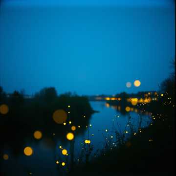 Cover art for Midnight Fireflies by Marry Lena