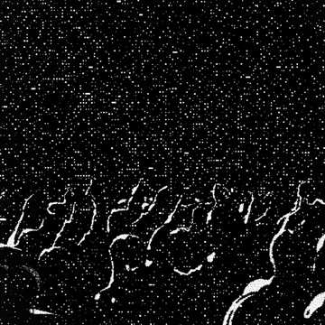 Capa de Untitled por Ivan Lima Fonseca