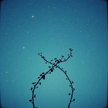 Cover art for Soarta a Decis by Victoria Vartic