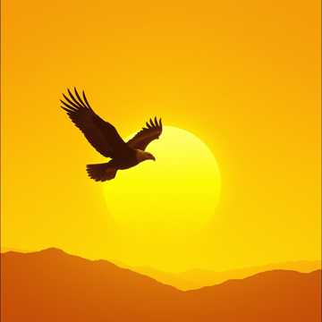 Cover art for Stronger Than the African Sun by Zion Matovu