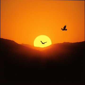 Cover art for Stronger Than the African Sun by Zion Matovu