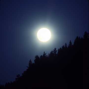 Copertă pentru 🎵 “Yume no Kage” (Sombras del Sueño) de megustas2211@gmail.com