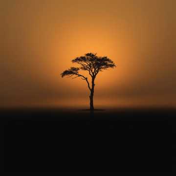 Daniel melese의 ma 커버 아트