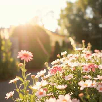 Cover art for Iubirea mea by Unknown Artist