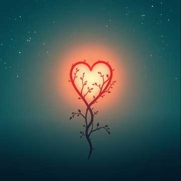 florinrusudlv@yahoo.esのIUBITA MEA DANAのカバーアート