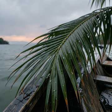 Pochette de Vavina Taubar par FREIZER PINIA