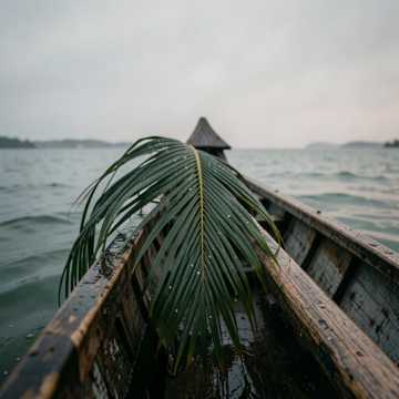Pochette de Vavina Taubar par FREIZER PINIA