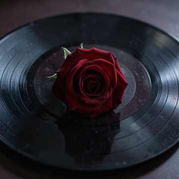 Cover art for Days of Mom by Mary Nimci