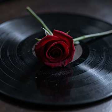 Cover art for Days of Mom by Mary Nimci