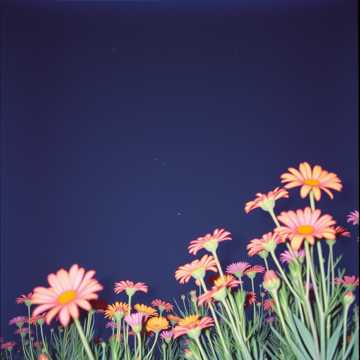 Cover art for Masih Ada Kamu by endah yugowati