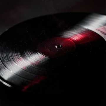 Cover art for Witness what you do by D Girond