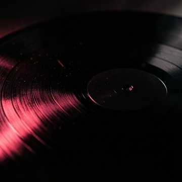 Cover art for witness what you do by D Girond