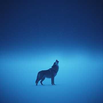 Copertă pentru jan de Jan Rütz