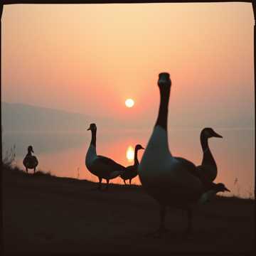 Cover art for La multi ani prietene drag by geyec82983@haotuwu.com