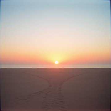 Cover art for Y fuiste tú! by José Francisco Fernández Escalona