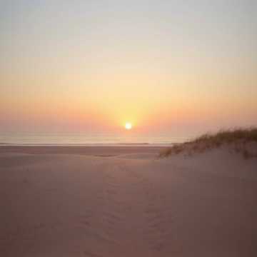 Cover art for Y fuiste tú! by José Francisco Fernández Escalona