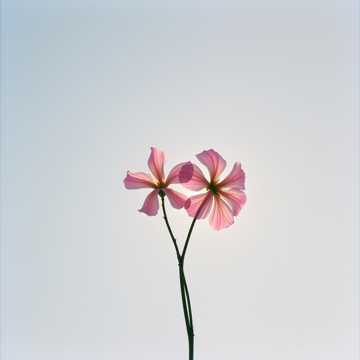 Cover art for 18 ani împreună by florinrusudlv@yahoo.es