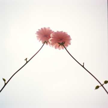 Cover art for 18 ani împreună by florinrusudlv@yahoo.es