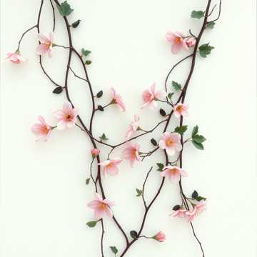 Cover art for Iubirea mea Dana by florinrusudlv@yahoo.es