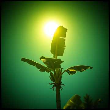 Samuel Kapaitu의 Ifound love 커버 아트