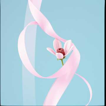 Cover-Art für troi em von HOANG VAN MINH