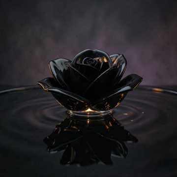 Cover-Art für Entera von MATIAS Y DANI