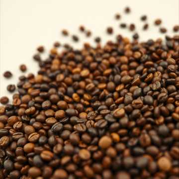 Cover art for Ngoopie by endah yugowati