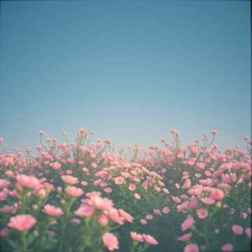 Cover art for „Funia-n trei” by florinrusudlv@yahoo.es