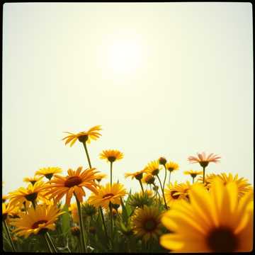 Cover-Art für Bhaichara von Unknown Artist