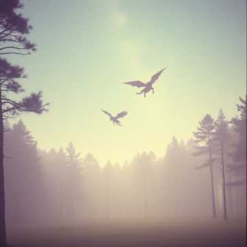 Cover art for Eroii din Poveste by Mihaela Vasile