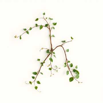 Cover art for Funia-n împletită in trei by florinrusudlv@yahoo.es