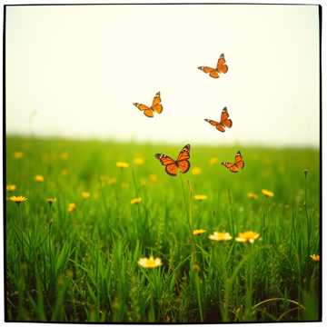 Cover art for Prietenia e magie by nicoleta_nuti@yahoo.com