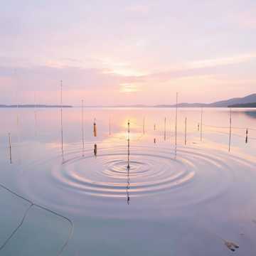 Capa de Still Water Breath por Rany Tan