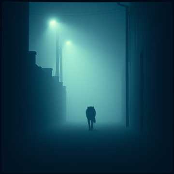 Cover art for No Face No Case by lenoxrrr