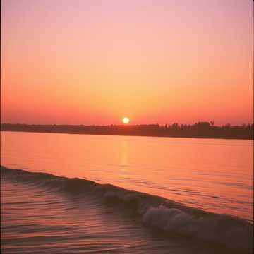 Cover art for Trei bătaie de inimă by florinrusudlv@yahoo.es