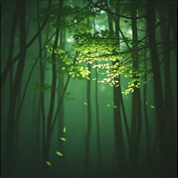 Cover art for Invisible Spaces by pora doru