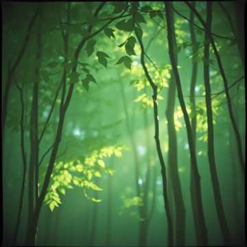 Cover art for Invisible Spaces by pora doru