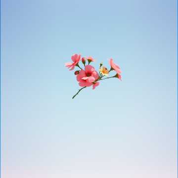 Cover art for Letzter Abschied by Masterchiefkk